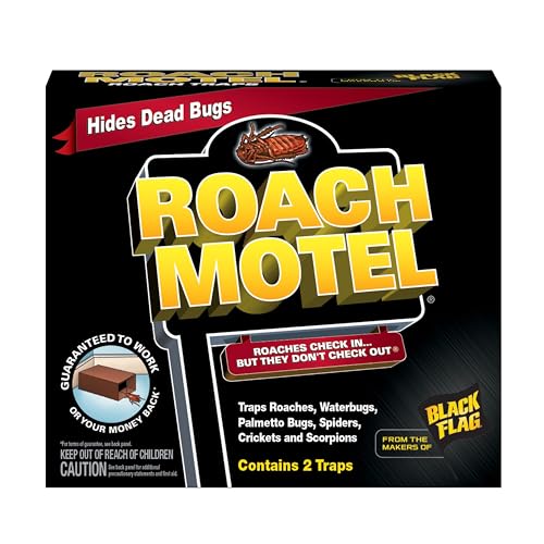 motel vs hotel