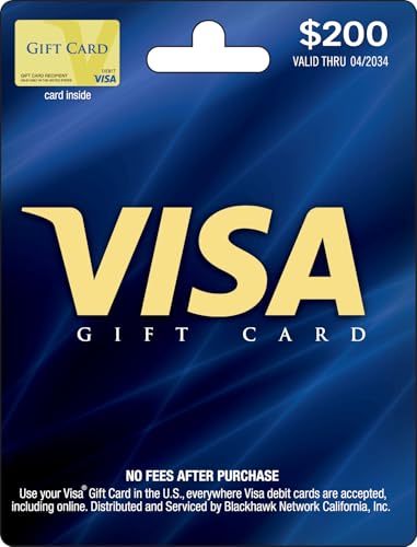 visa vs passport comparison guide