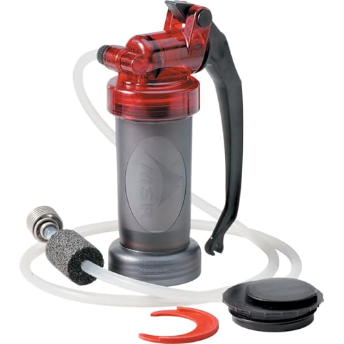 Backpacking Filter