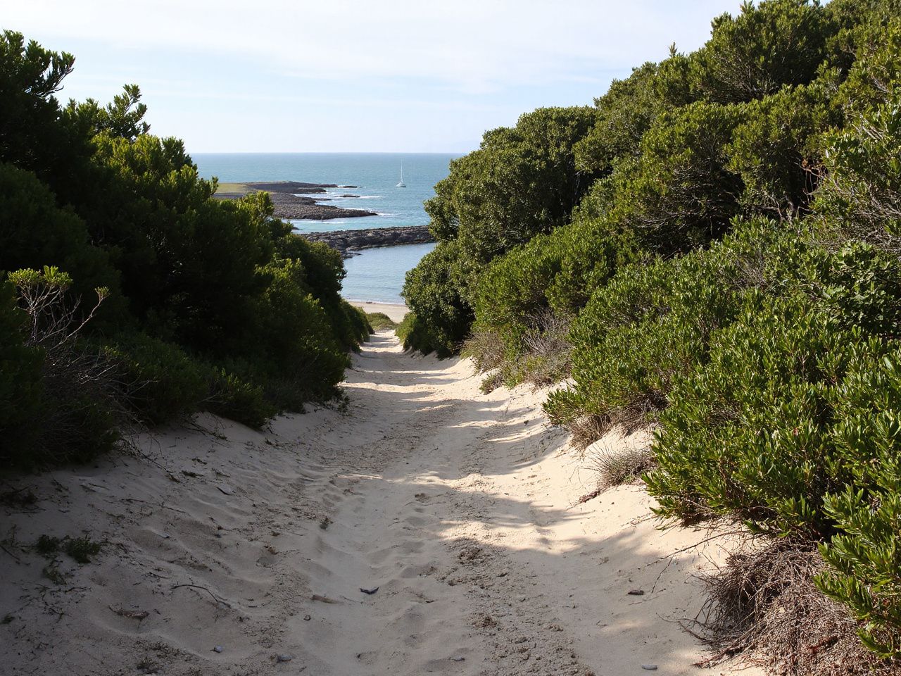 A narrow, sandy trail winds through dense coastal vegetation leading toward a hidden, quiet harbor