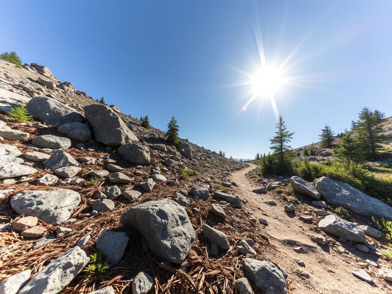 Sunlit mountain trail with rugged rocks and scattered pine needles under a clear blue sky