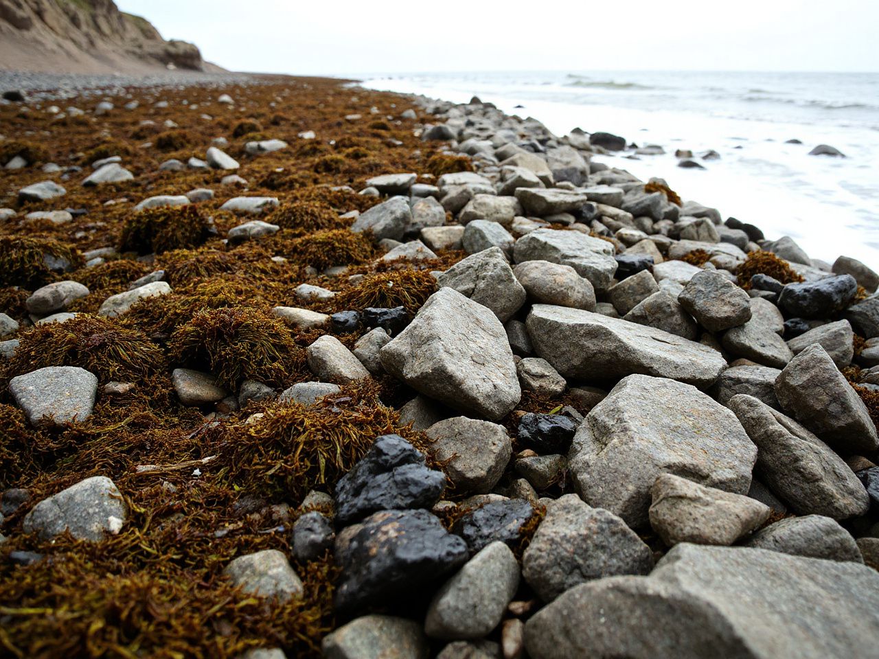 A rocky shoreline with slippery seaweed-covered stones and crashing waves, highlighting hidden hazards along coastal paths