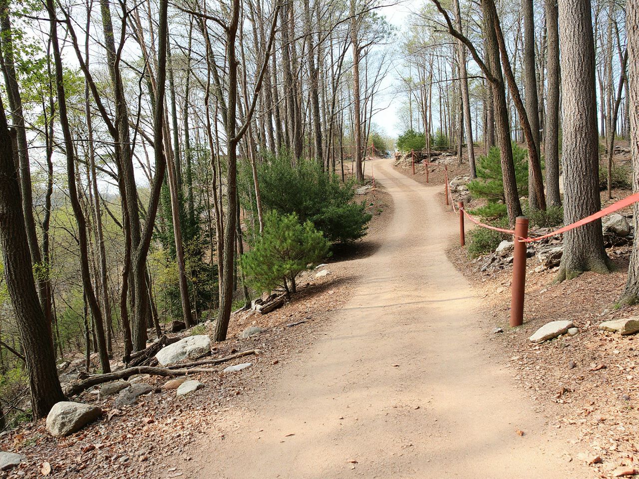 Narrow dirt path with gentle inclines surrounded by mixed hardwood trees and scattered rocks