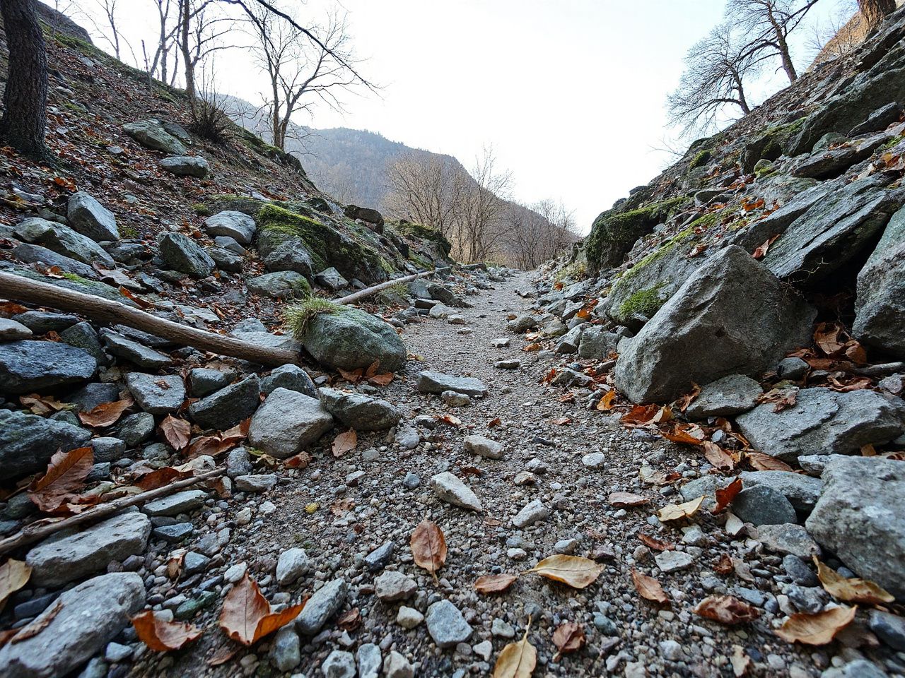 A rugged mountain trail strewn with small rocks and fallen leaves under bright daylight