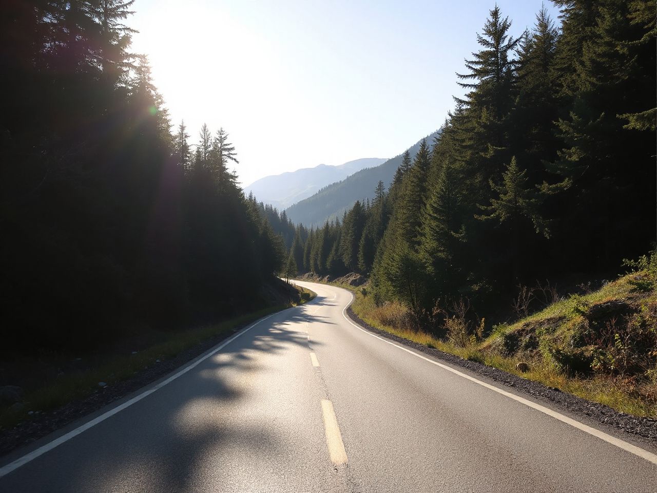Sunlit mountain road winding through dense forest, illustrating the transparency of travel package options