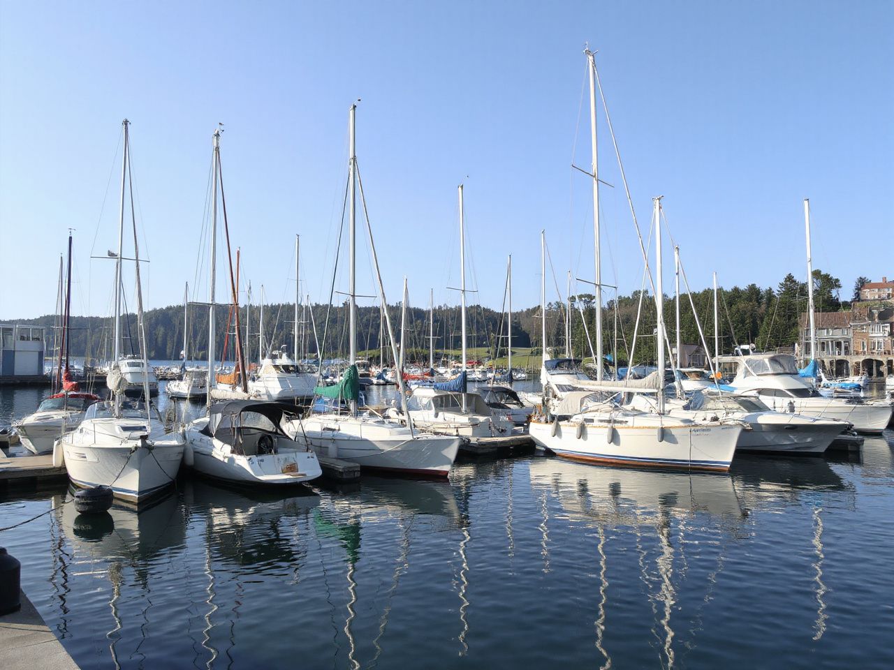 Quiet harbor at midday with moored boats and clear skies, symbolizing the complexities of travel fees