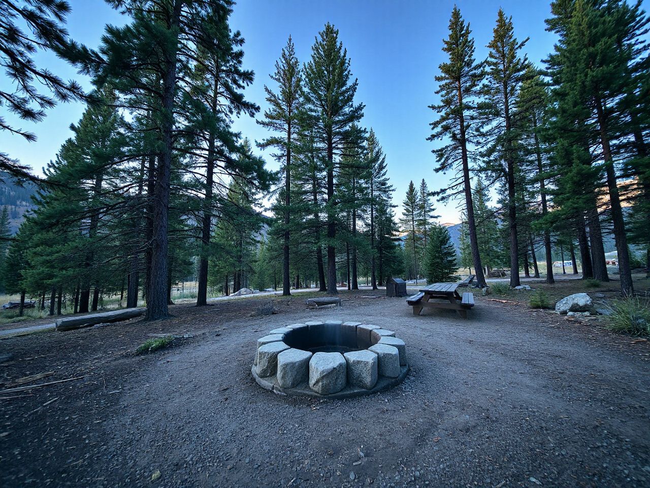 A rustic campsite with a fire ring and picnic table nestled among pine trees under a clear sky