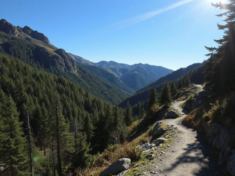 A winding mountain trail surrounded by lush green forests under a bright blue sky