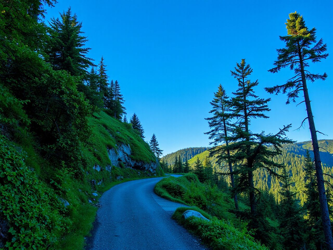 A winding mountain trail surrounded by lush green trees under a clear blue sky, perfect for navigation