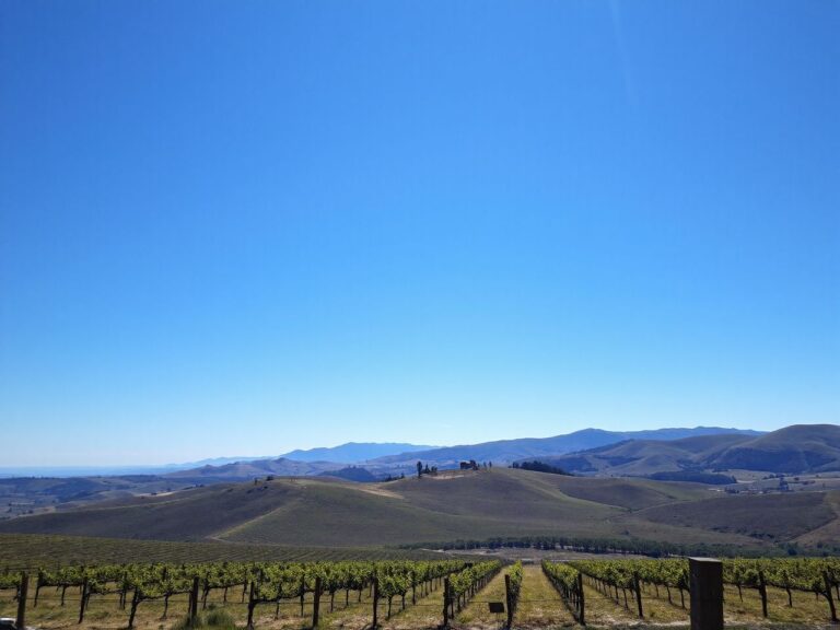 A sunlit Italian countryside with rolling hills and vineyards stretching beneath a clear blue sky
