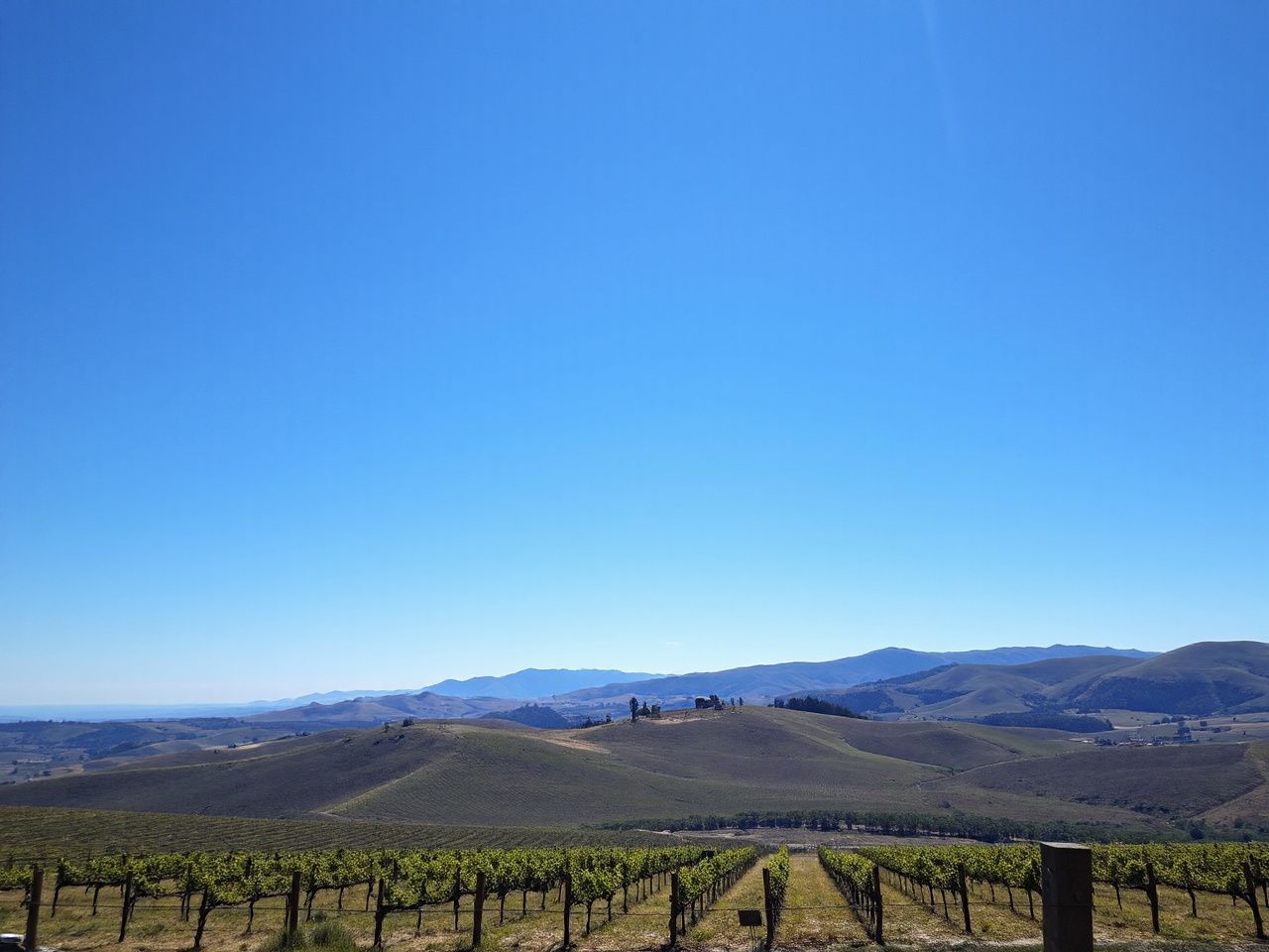 A sunlit Italian countryside with rolling hills and vineyards stretching beneath a clear blue sky