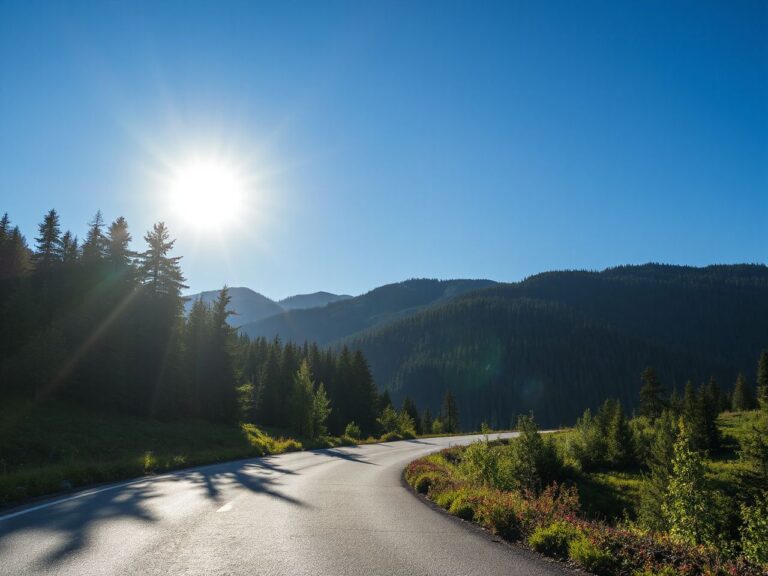 Sunlit mountain road winding through dense forest under a clear blue sky, inviting spontaneous adventure
