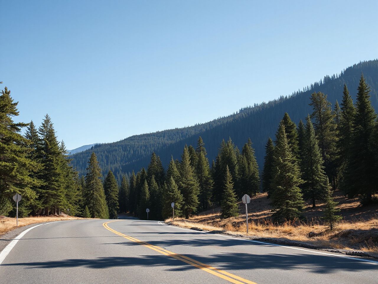 A winding mountain road cutting through dense pine forests under a clear blue sky