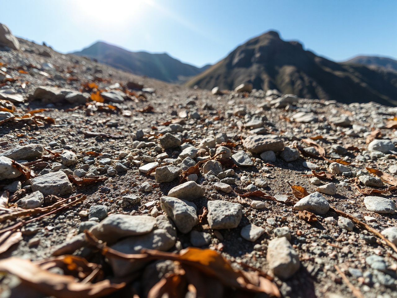 Close-up of a rugged mountain trail with scattered rocks and dry leaves under bright sunlight