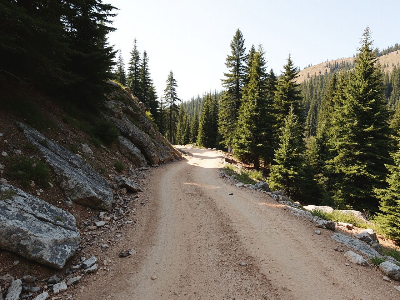 A rugged mountain trail winding through dense forest under bright daylight, illustrating varied terrain differences