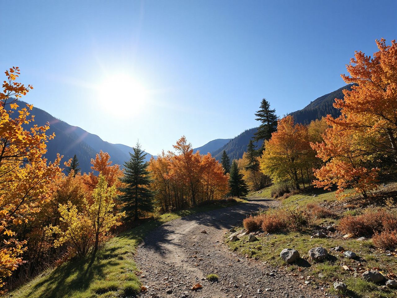 A sunlit mountain trail winding through autumn-colored trees under a clear blue sky