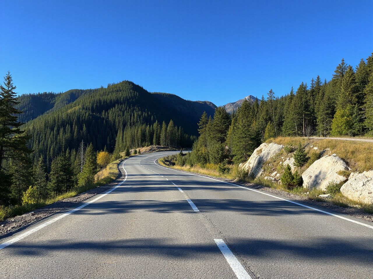 A winding mountain road with clear pull-off areas, surrounded by dense forest under a bright blue sky