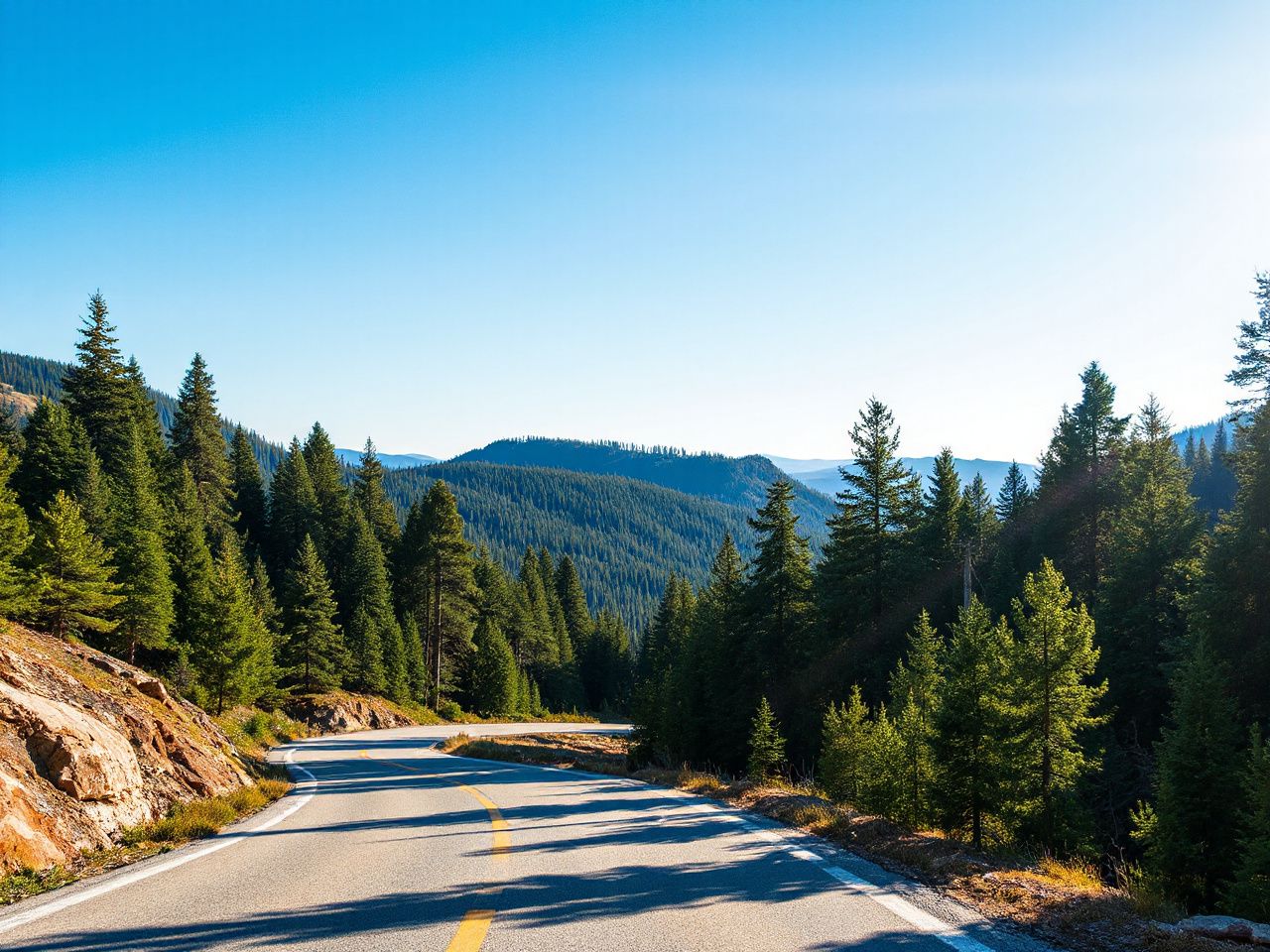A sunlit mountain road winding through dense pine forests under a clear blue sky