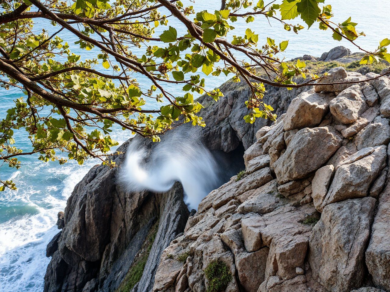 A rugged cliffside with turbulent wind currents visible through swirling leaves and bending tree branches